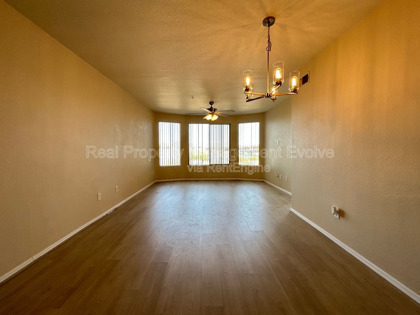 Gallery Image 16