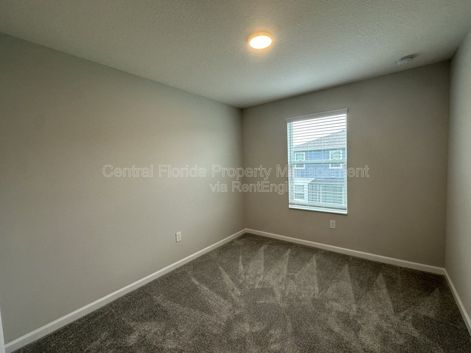 Gallery Image 19