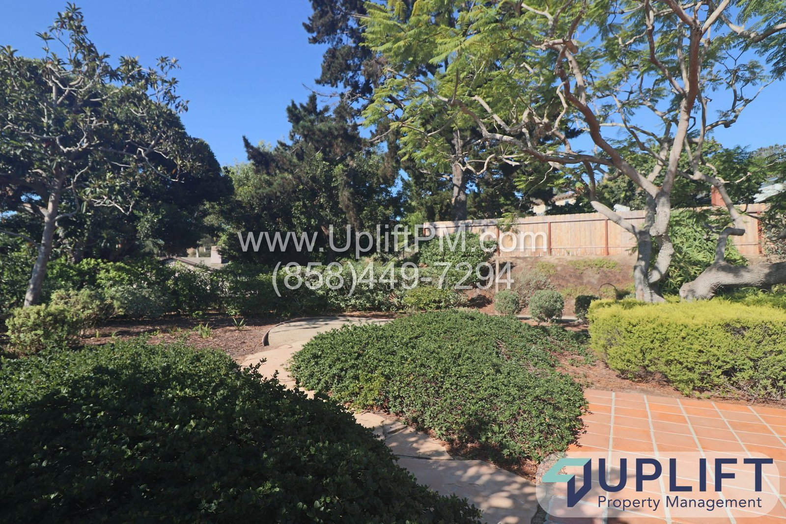 Gallery Image 10