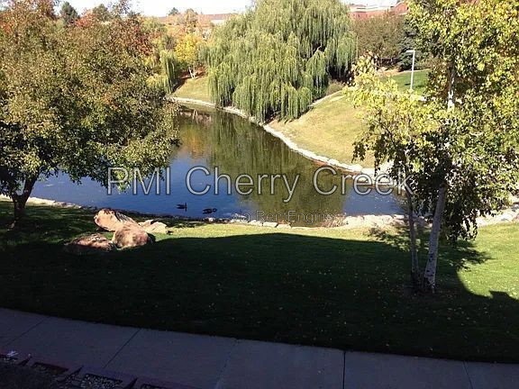 Gallery Image 33