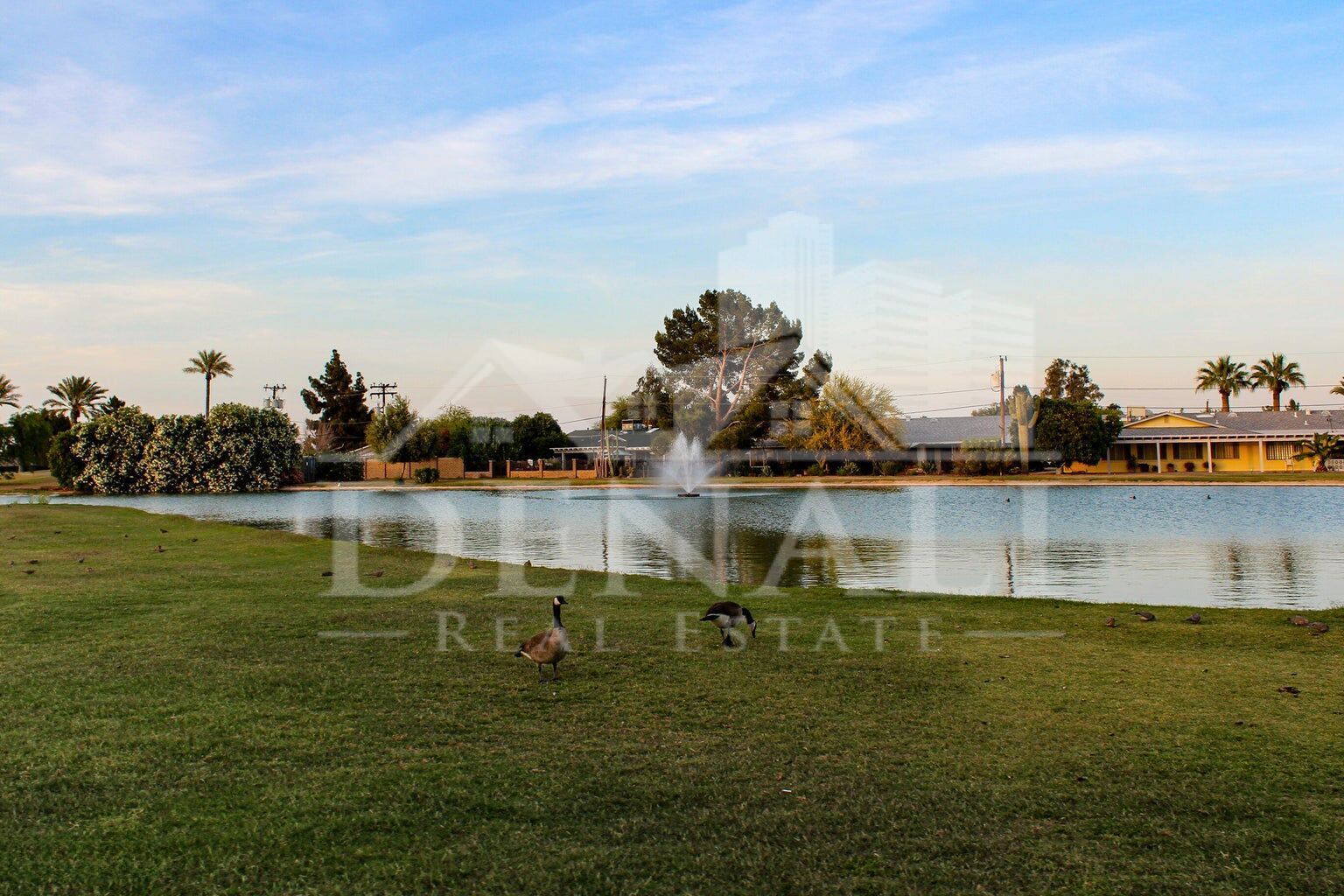 Gallery Image 28