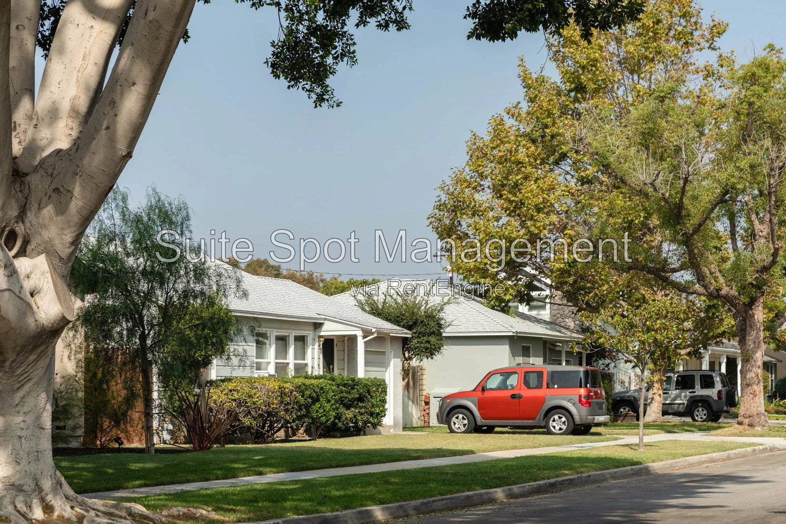 Gallery Image 10