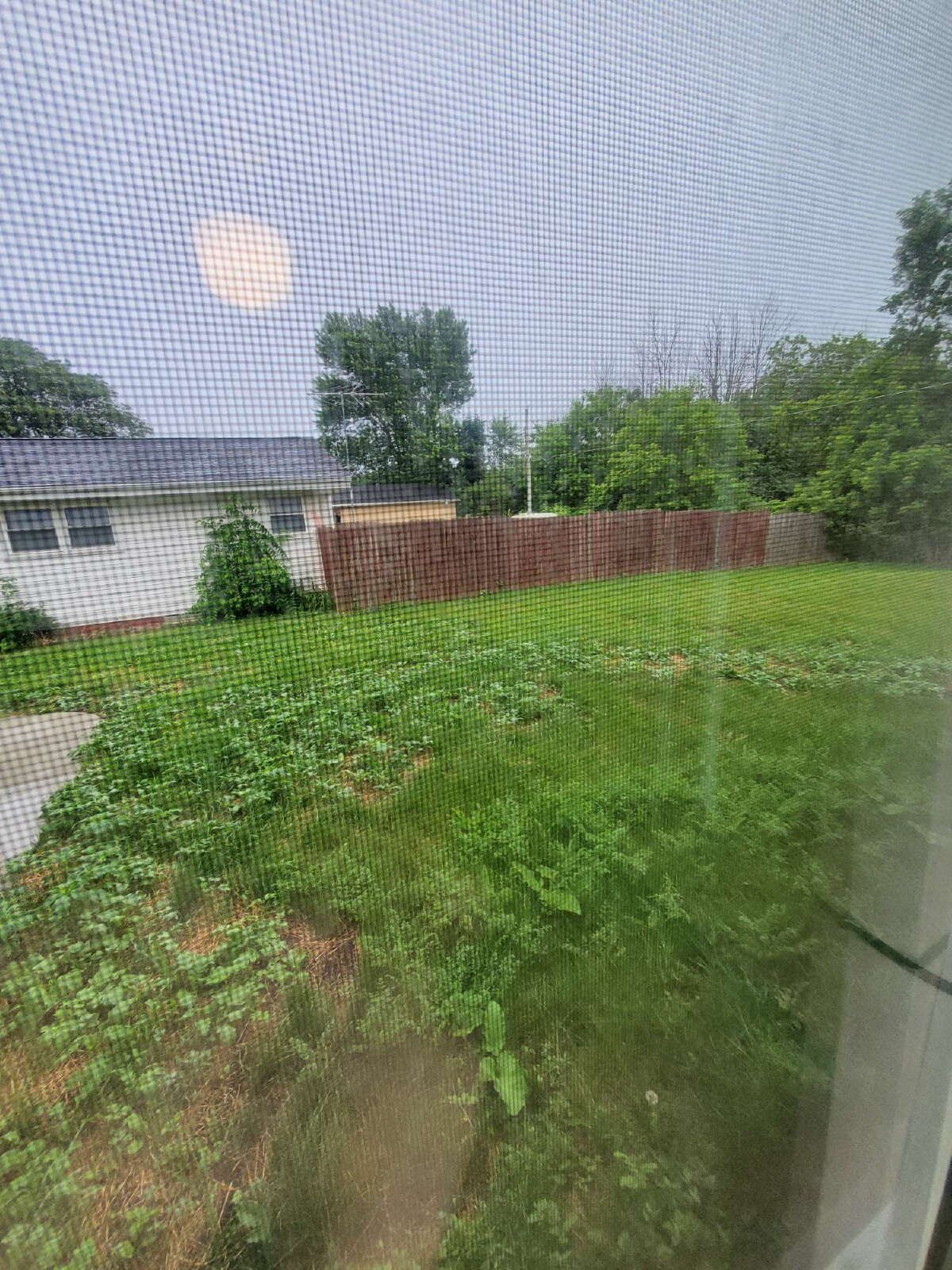 Gallery Image 11
