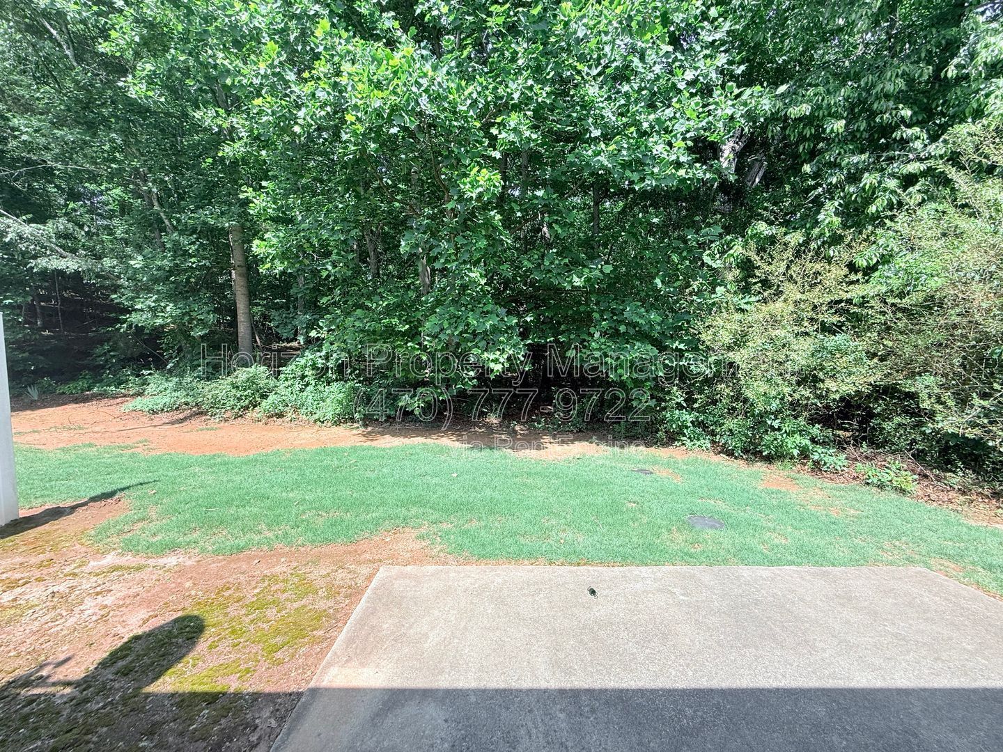 Gallery Image 13