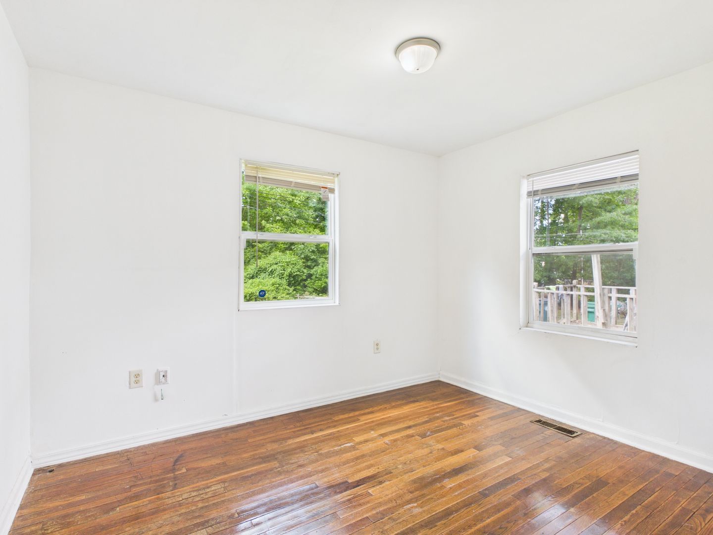 Gallery Image 19