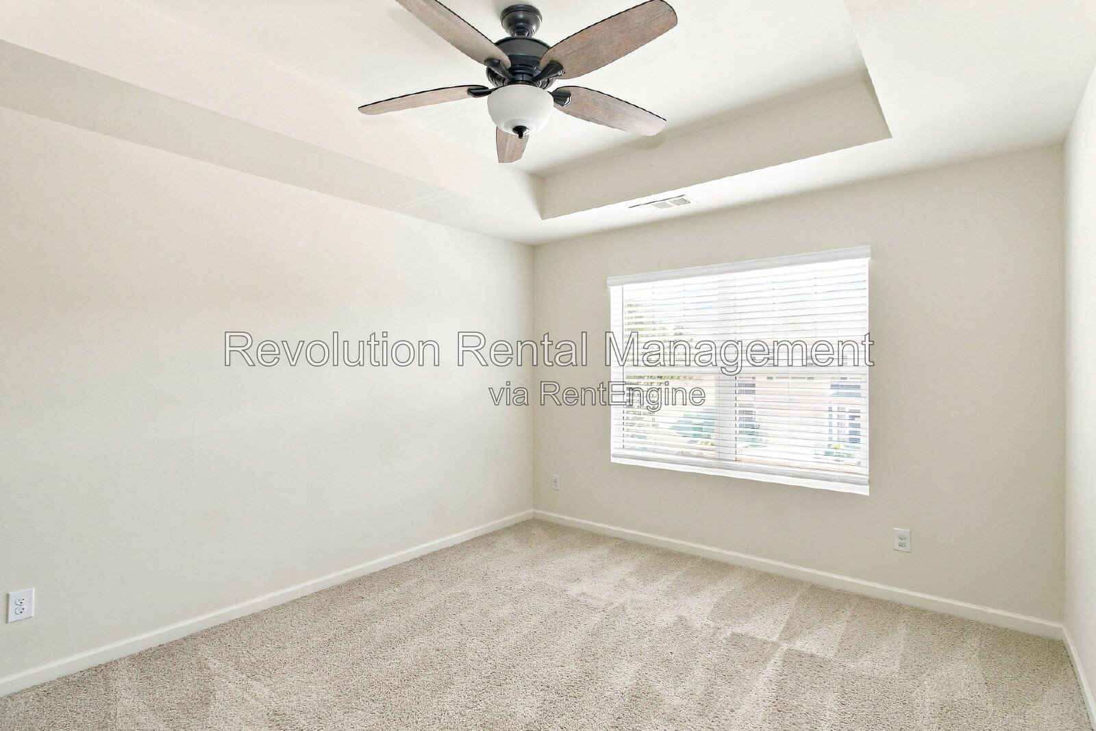 Gallery Image 30