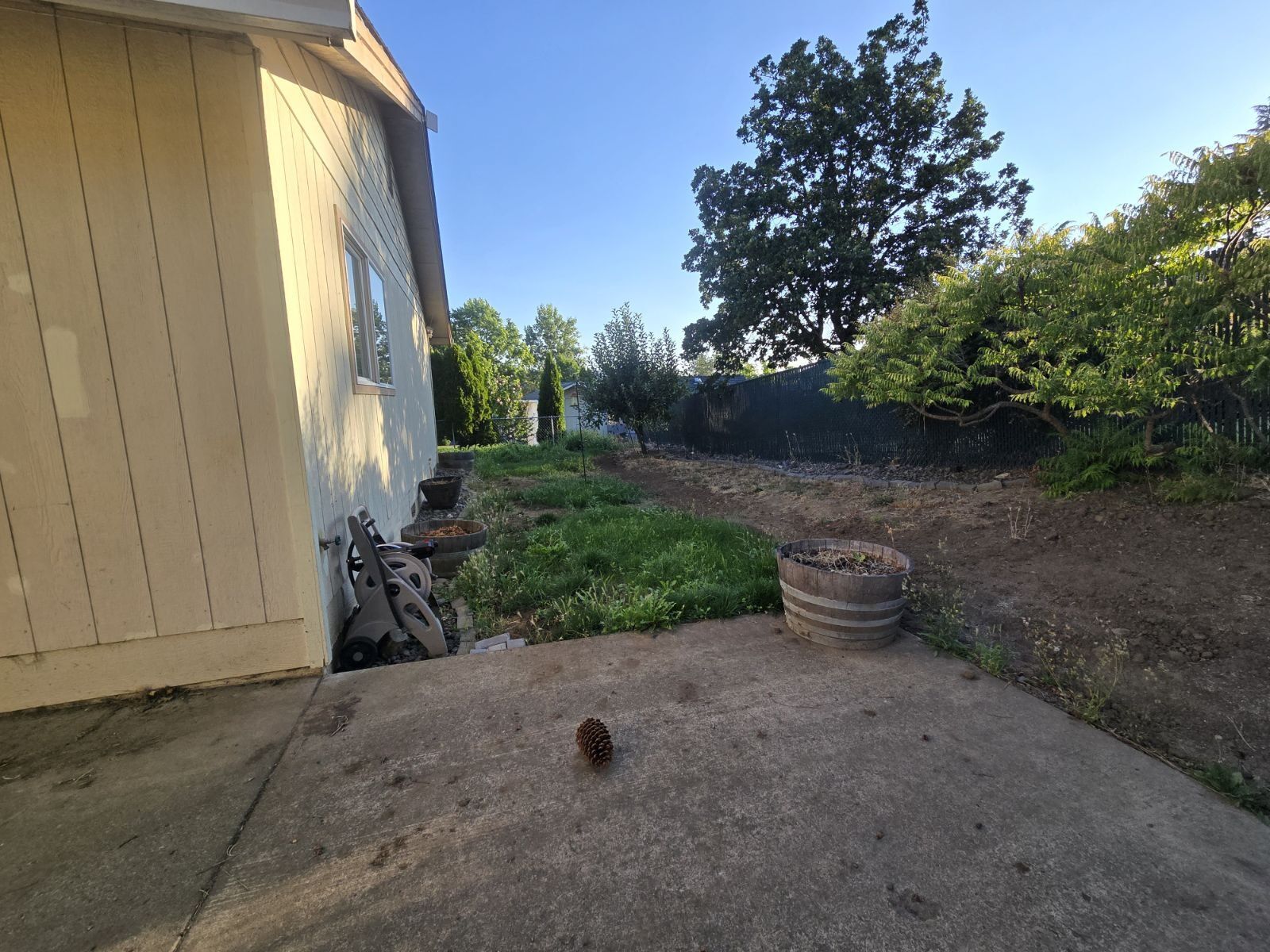 Gallery Image 16