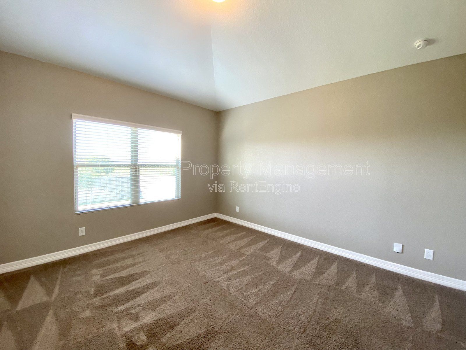 Gallery Image 36