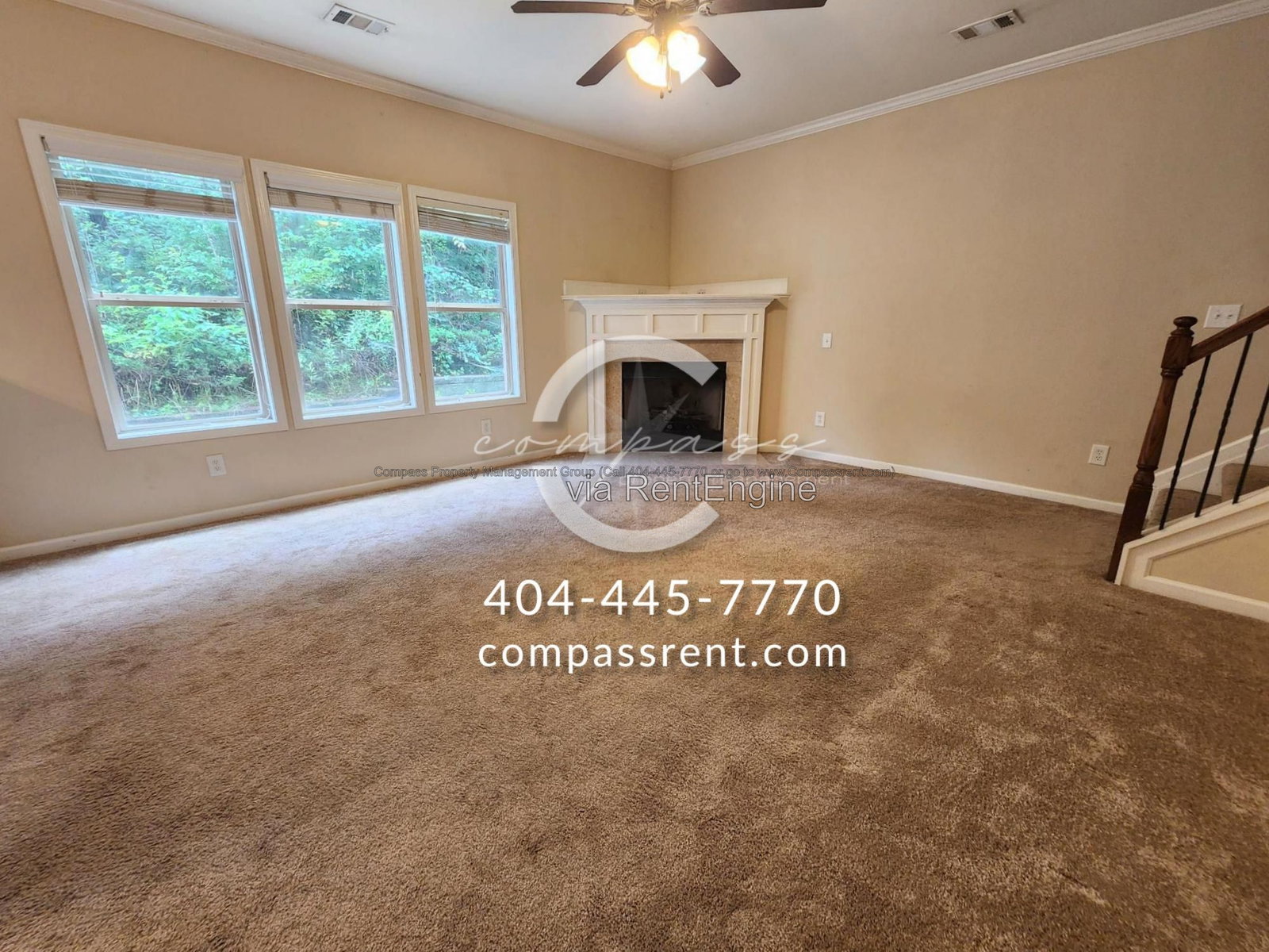 Gallery Image 7