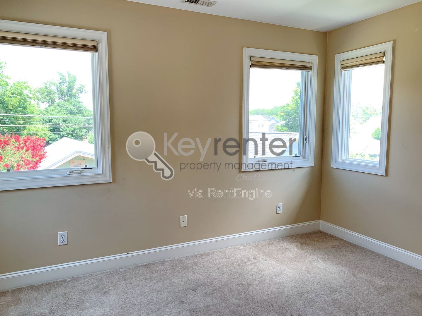 Gallery Image 19