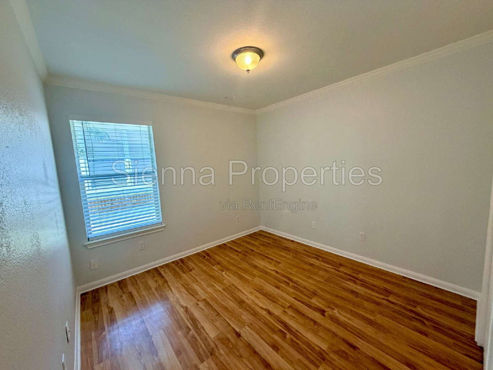 Gallery Image 18