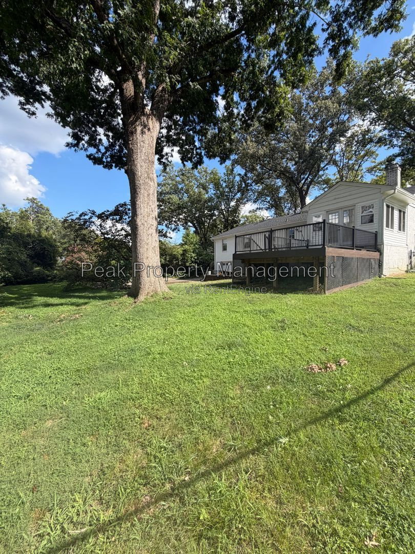Gallery Image 21