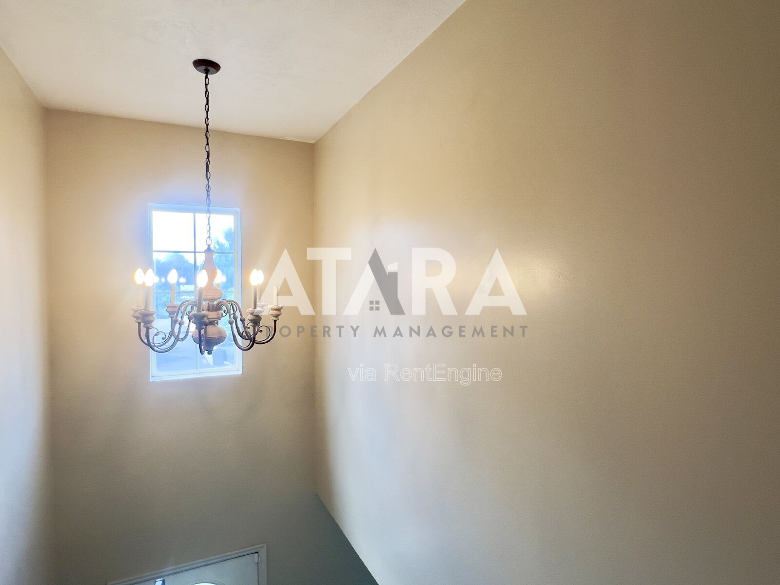 Gallery Image 47