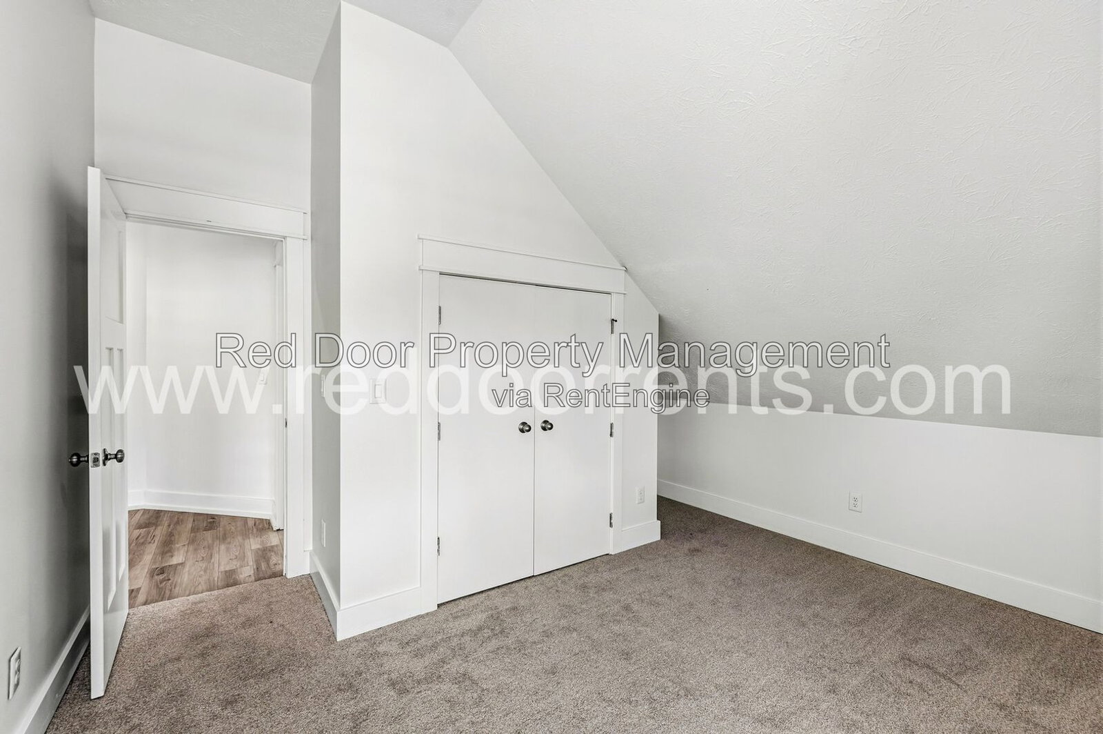 Gallery Image 19