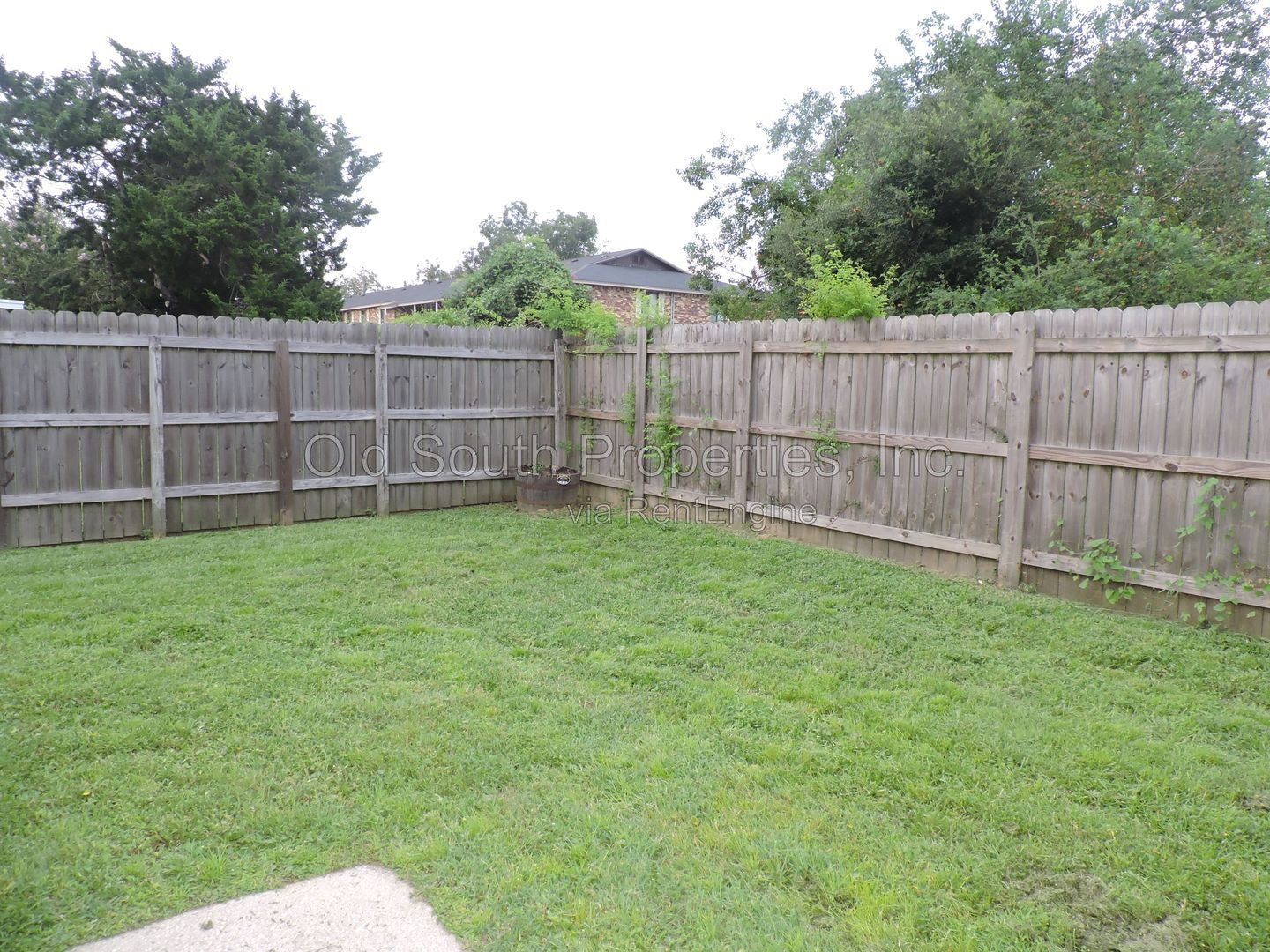 Gallery Image 20