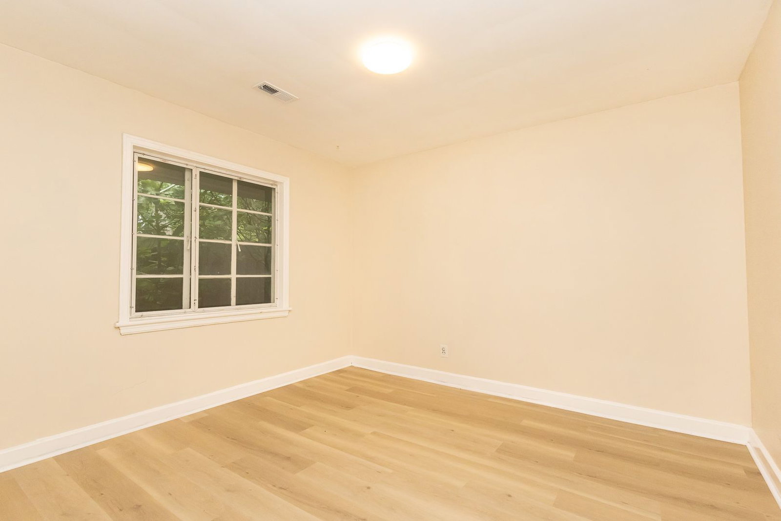 Gallery Image 18