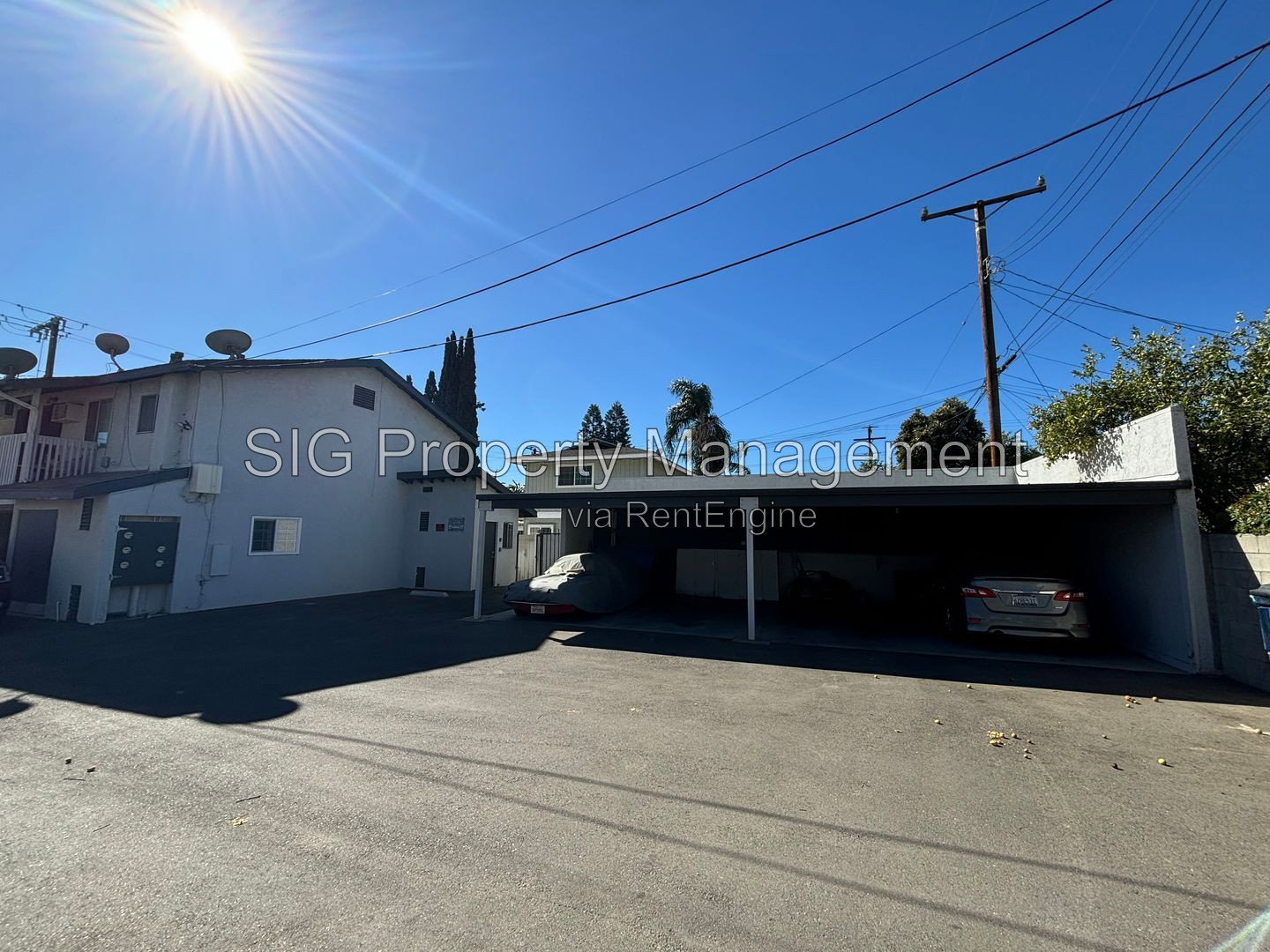 Gallery Image 16