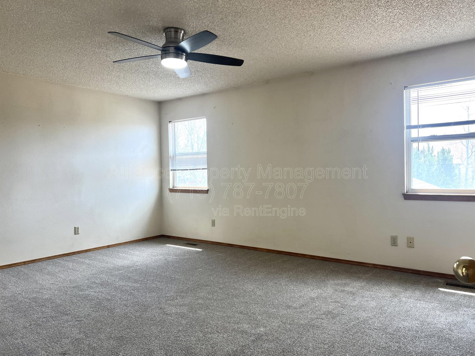 Gallery Image 19