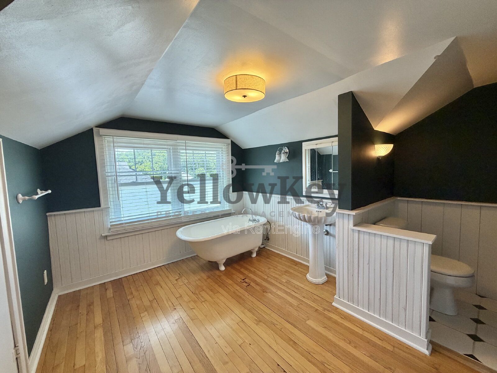 Gallery Image 16
