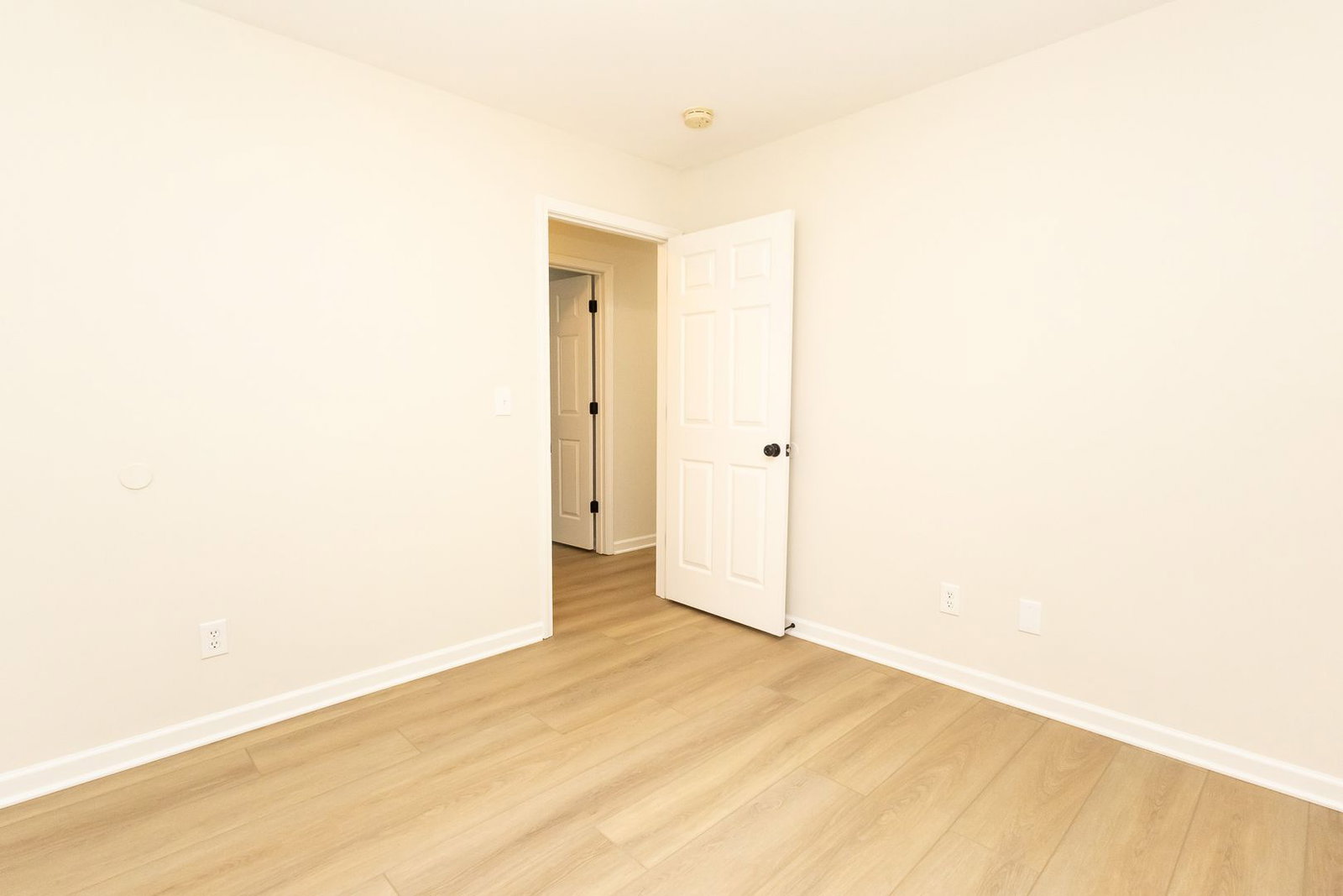 Gallery Image 16