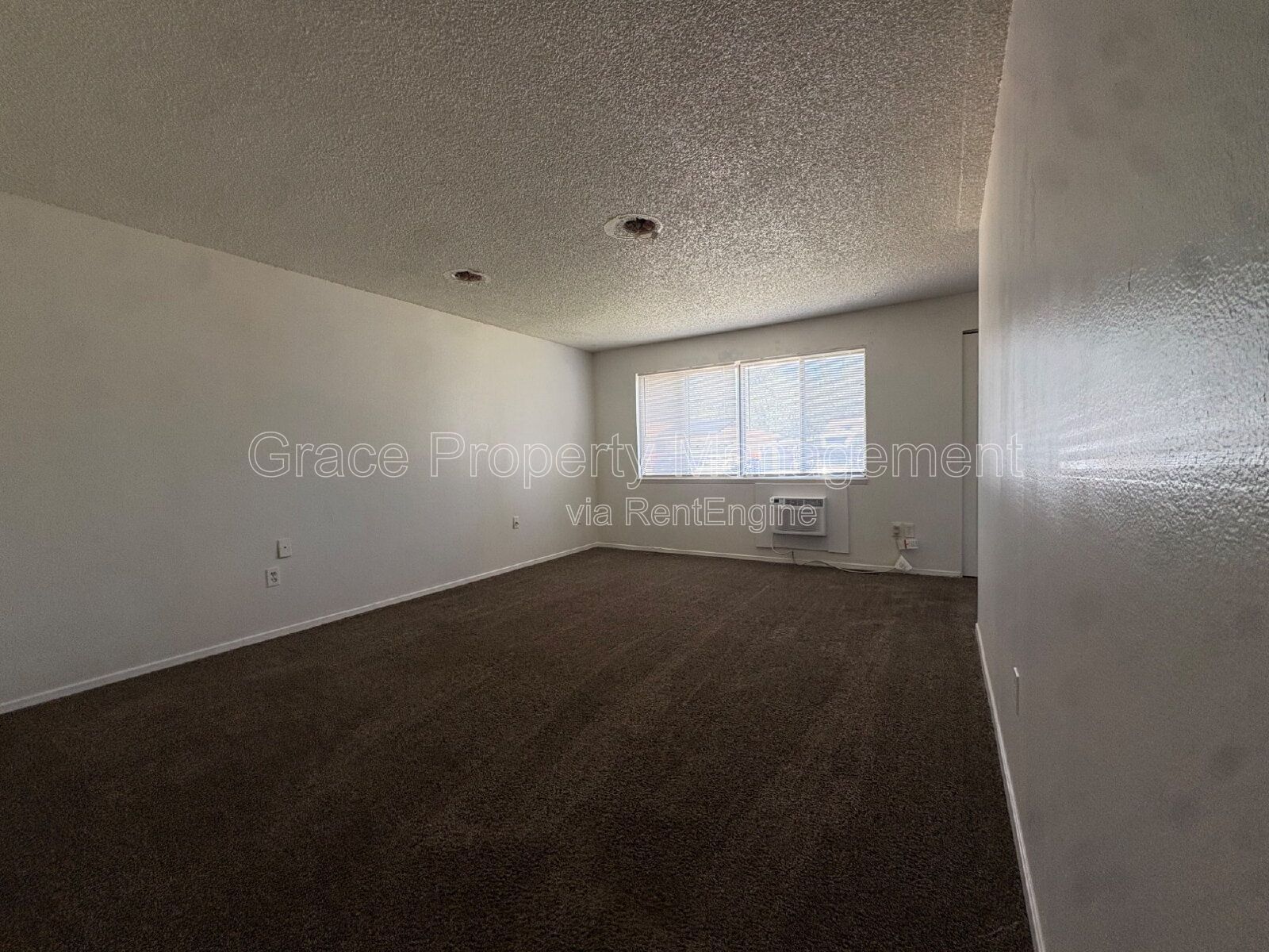 Gallery Image 25