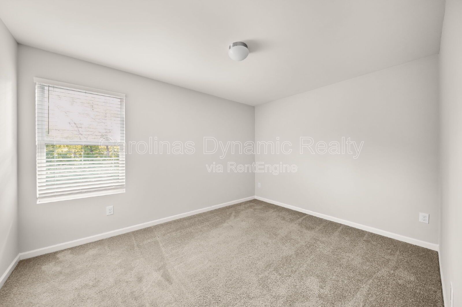 Gallery Image 20