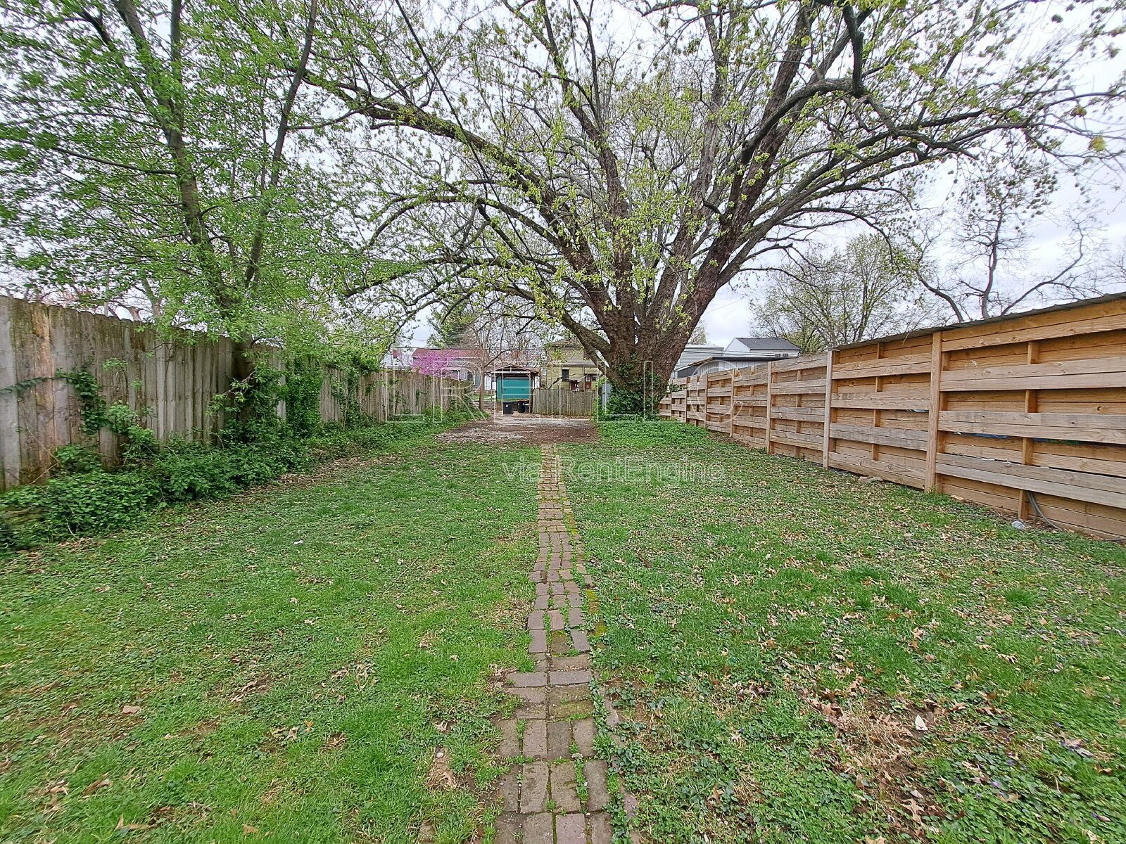 Gallery Image 16