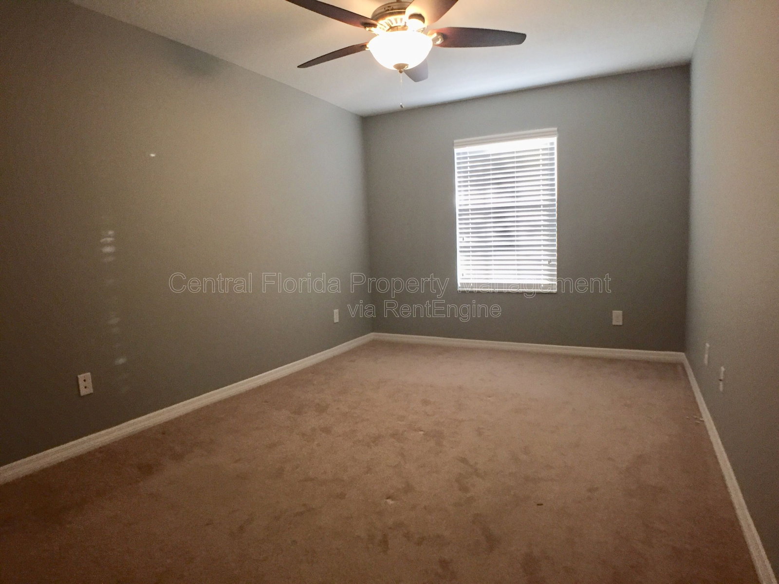 Gallery Image 20
