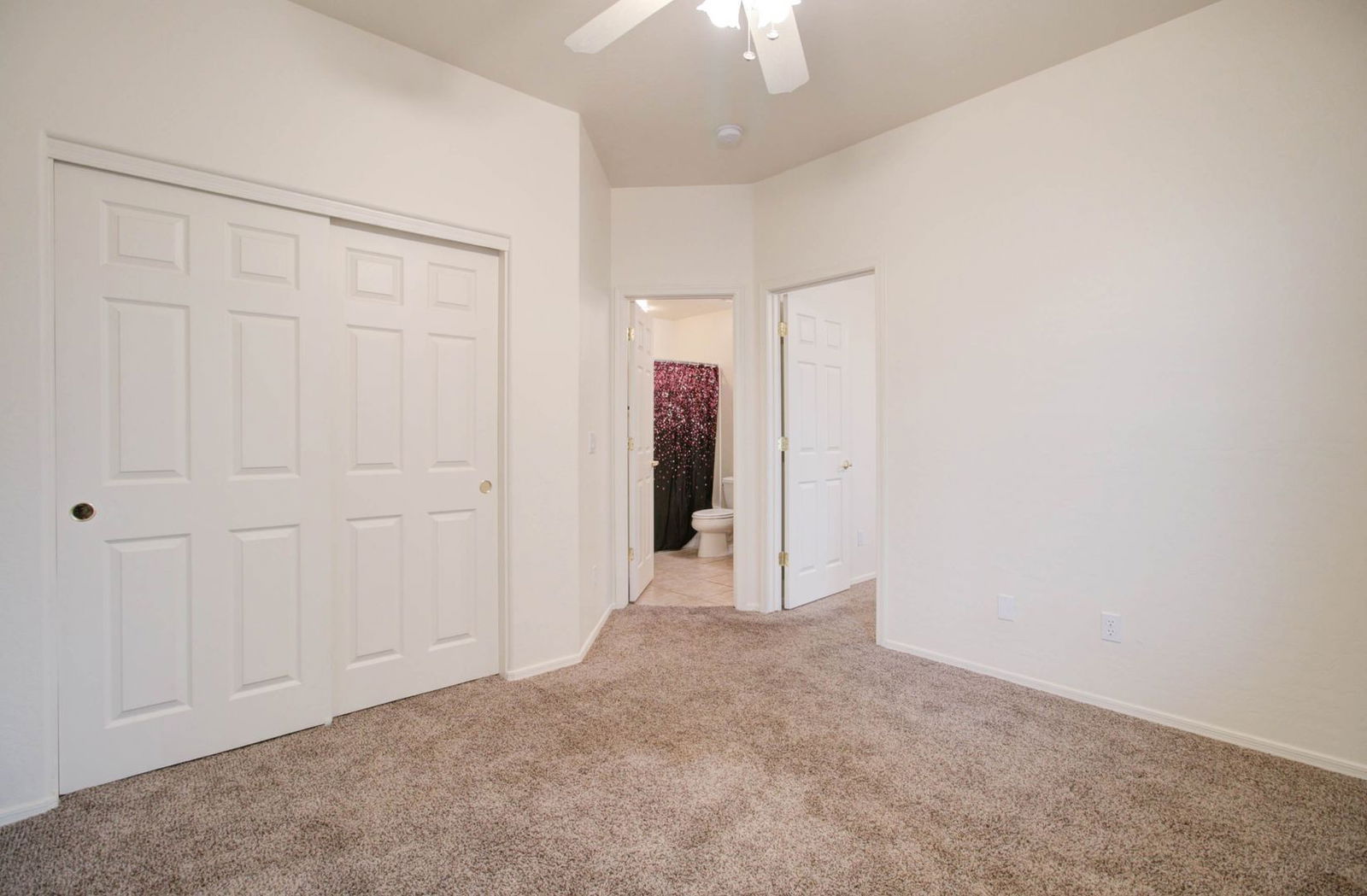 Gallery Image 22