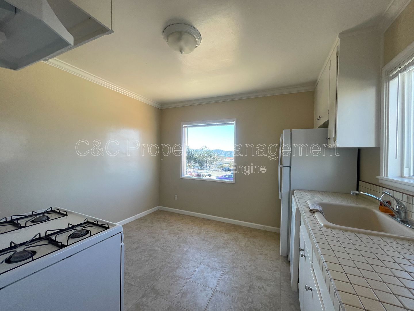 Gallery Image 8