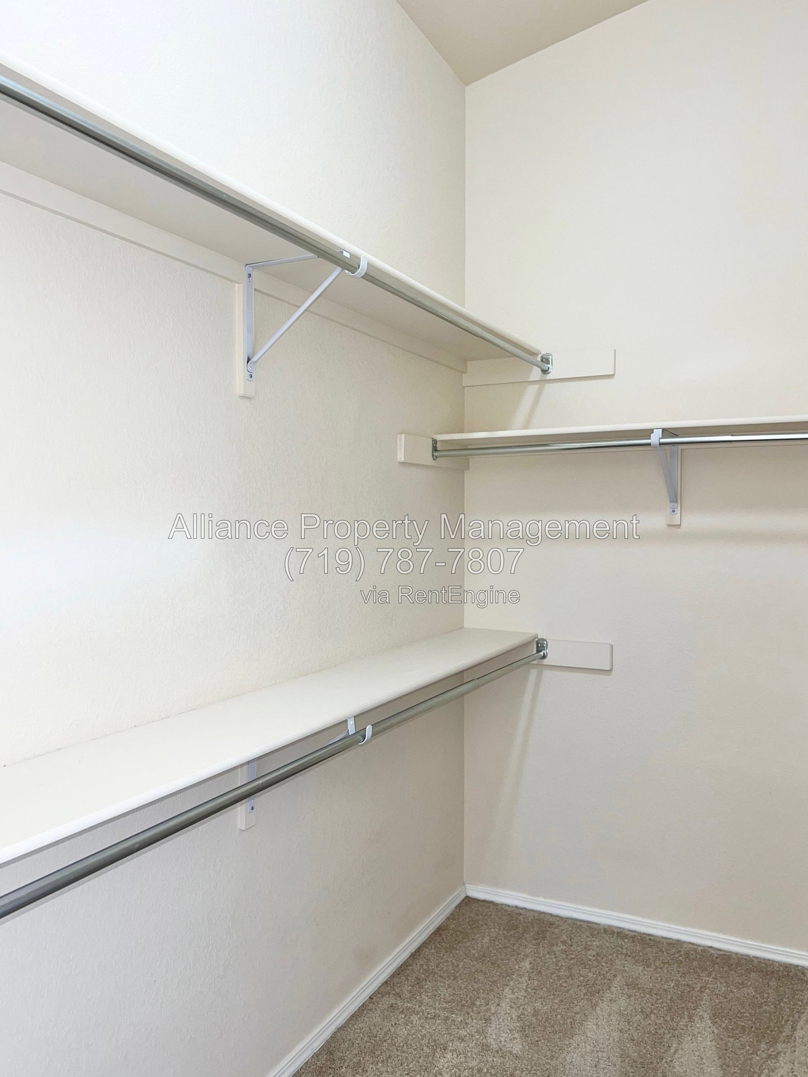 Gallery Image 19
