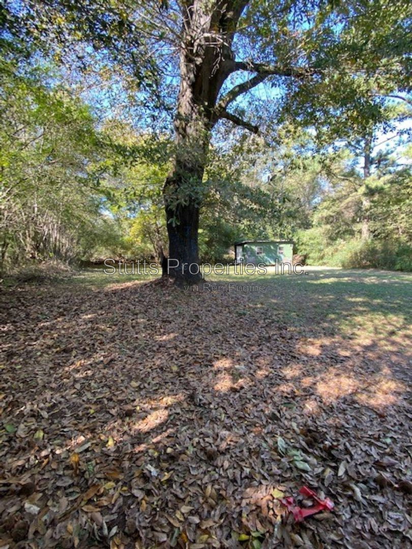 Gallery Image 14