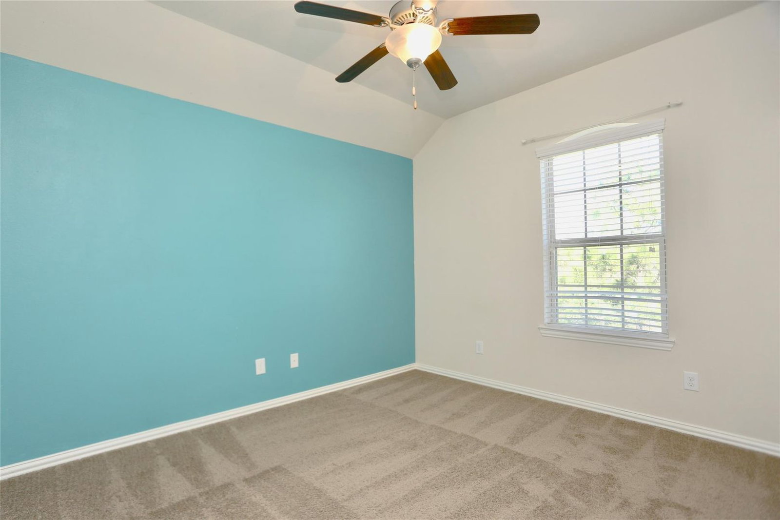 Gallery Image 19