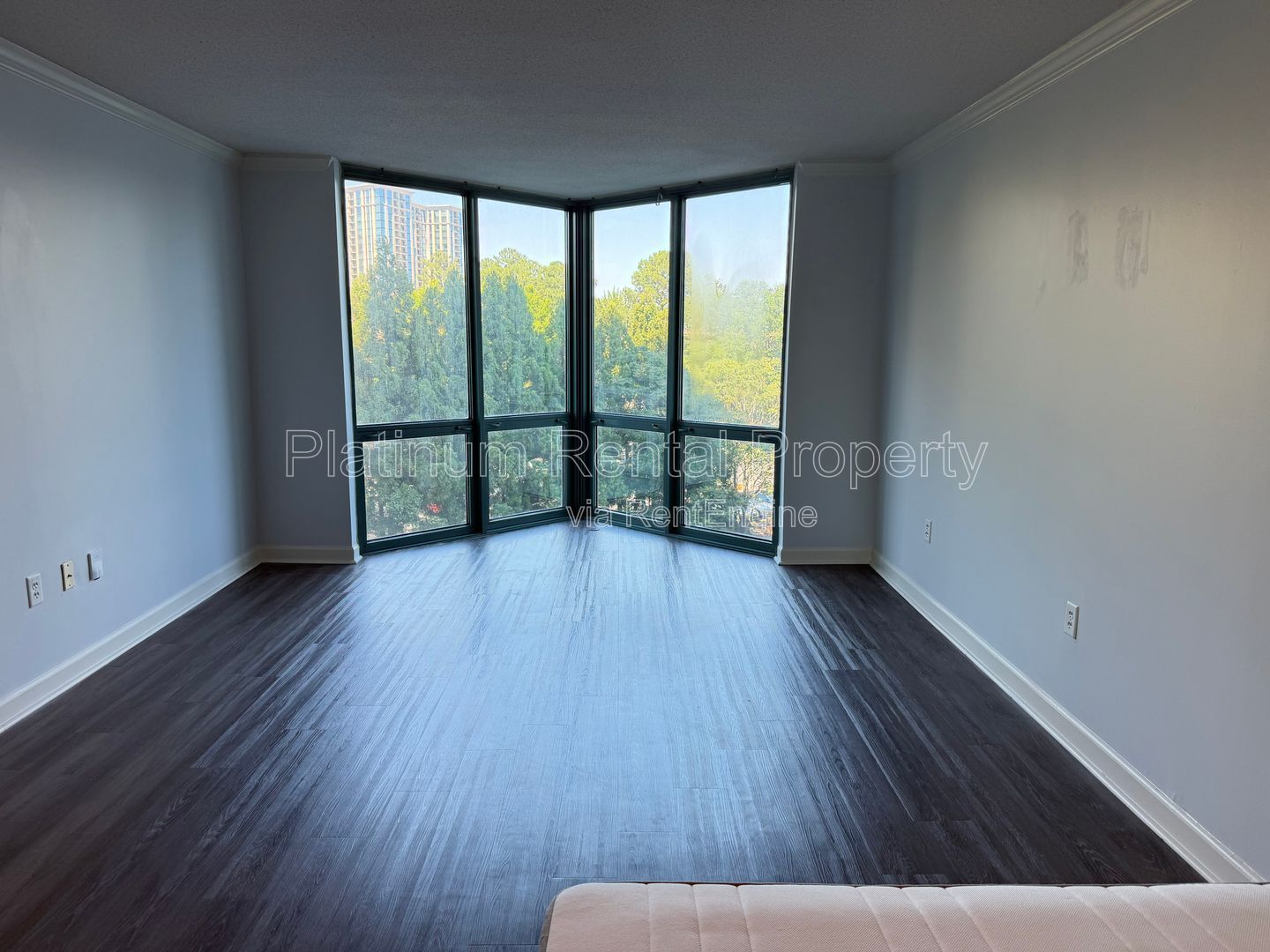 Gallery Image 18