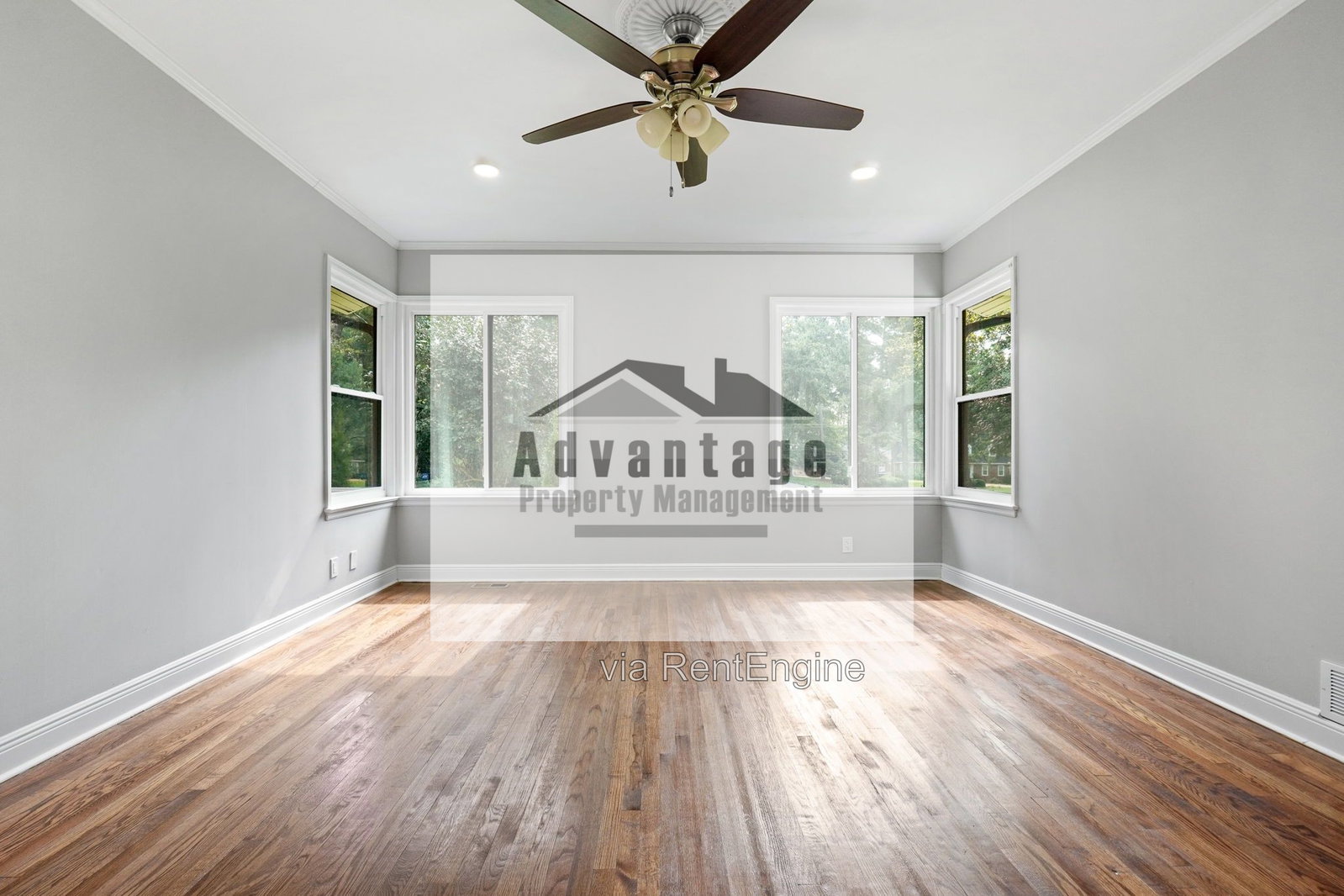 Gallery Image 38