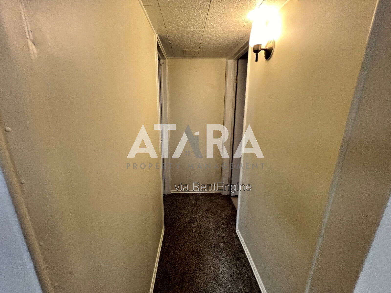 Gallery Image 36