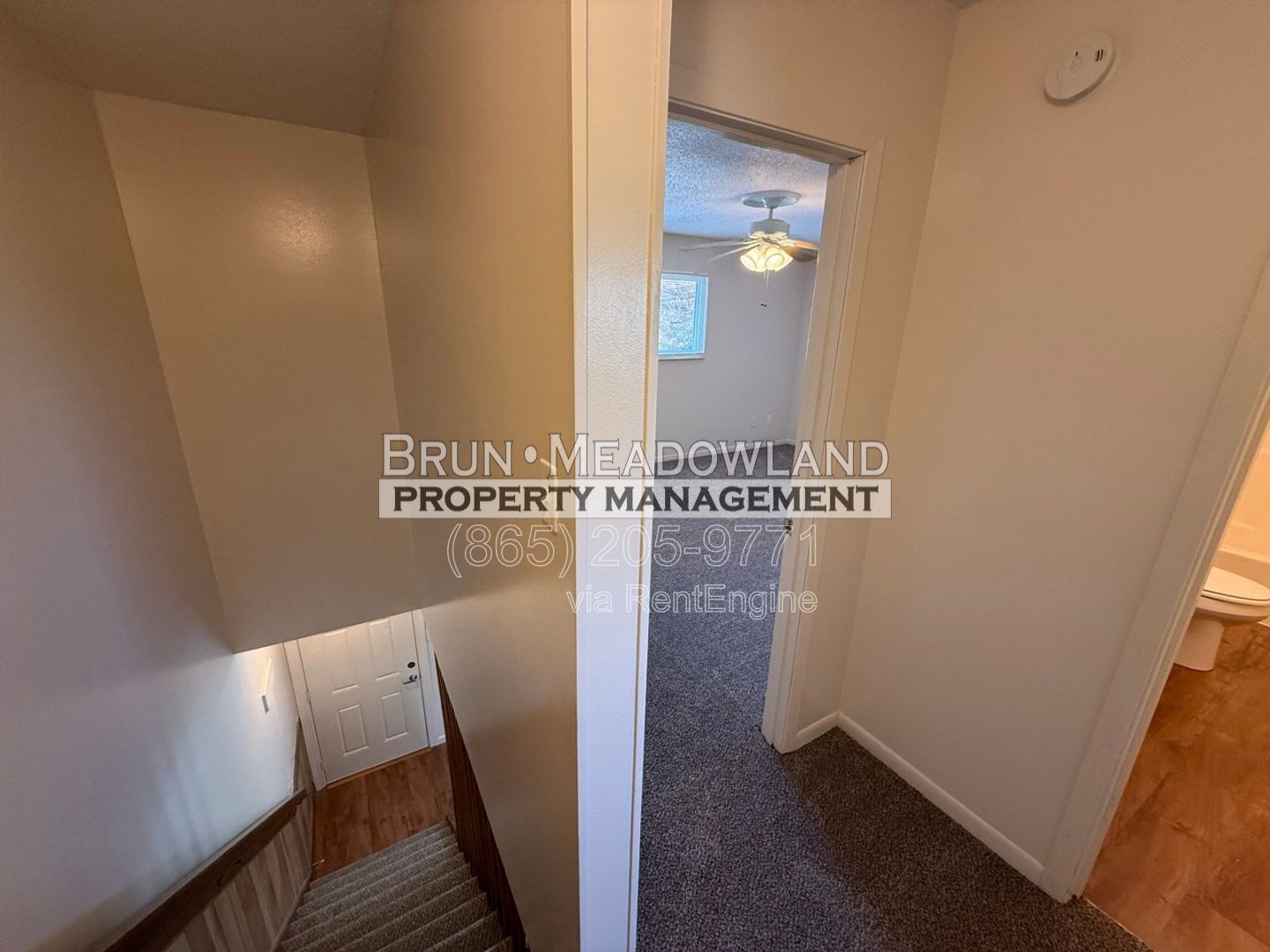 Gallery Image 20