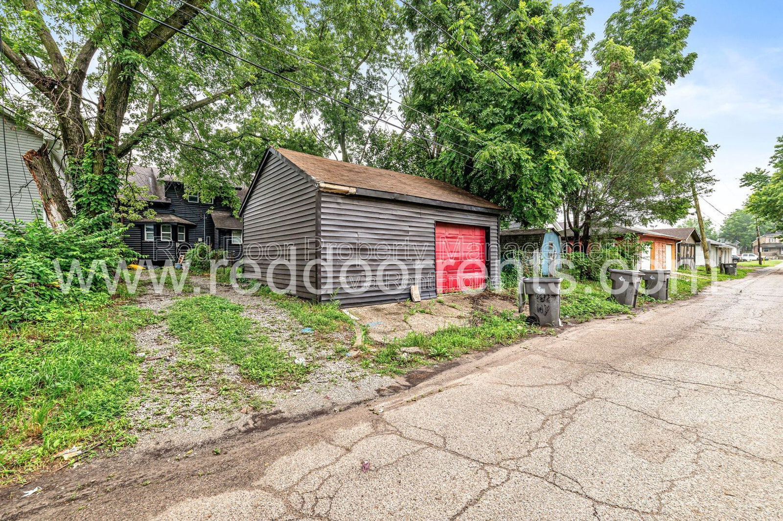Gallery Image 19