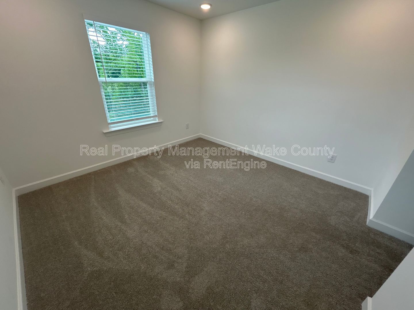 Gallery Image 42