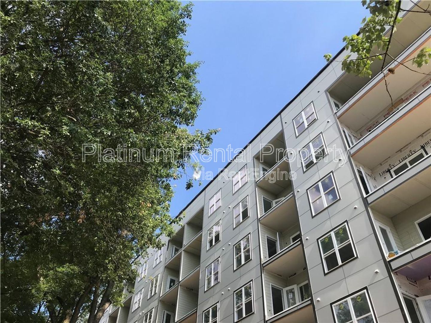 Gallery Image 20