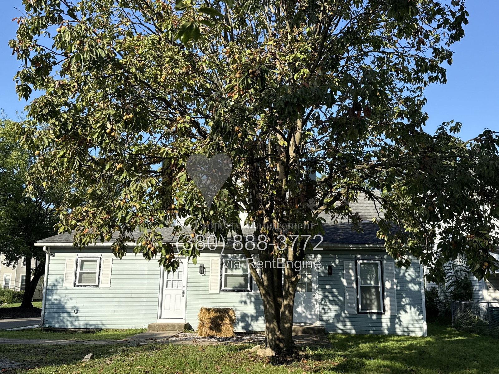 Gallery Image 8