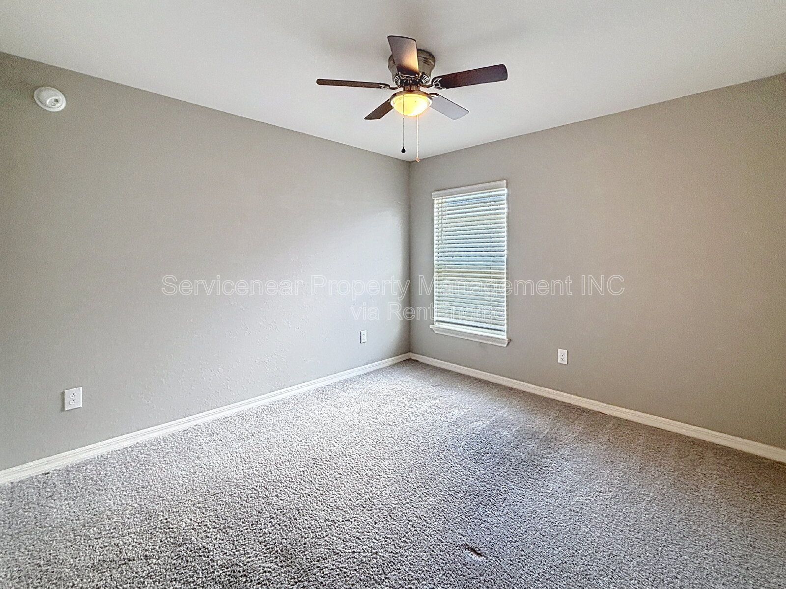 Gallery Image 19