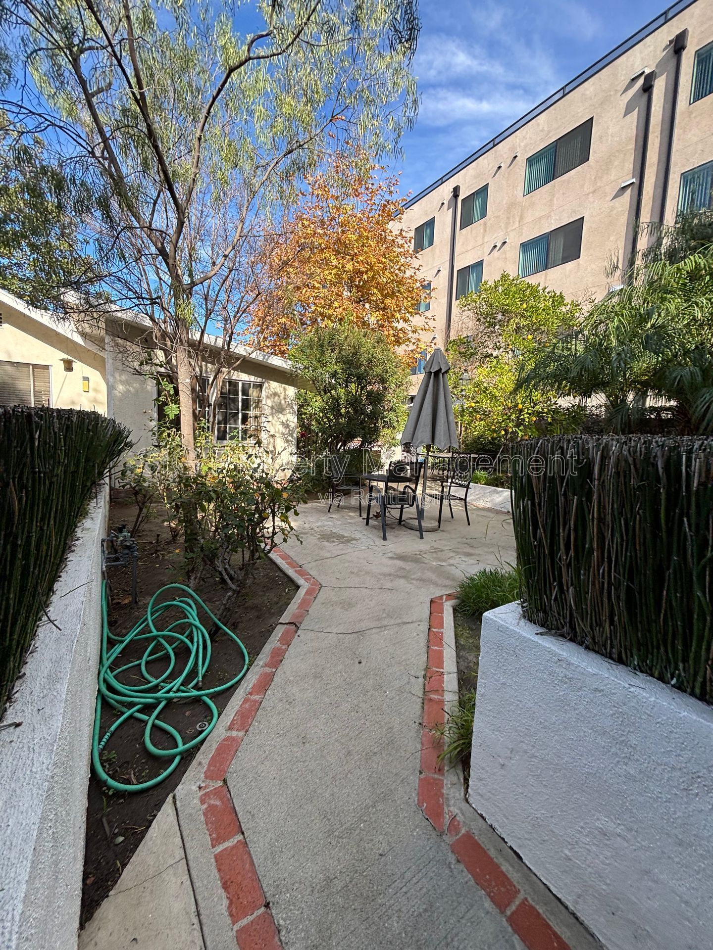 Gallery Image 16