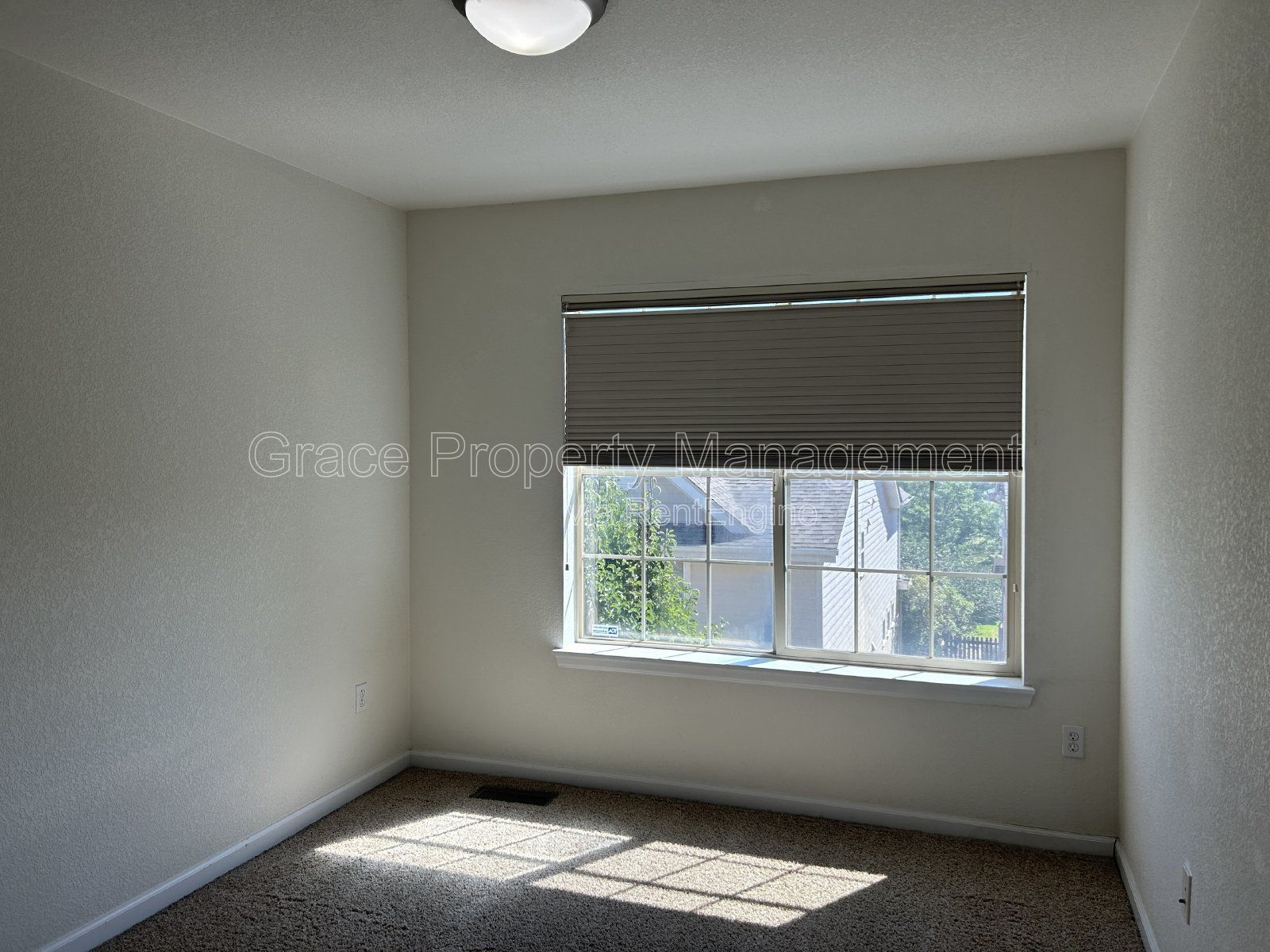 Gallery Image 19
