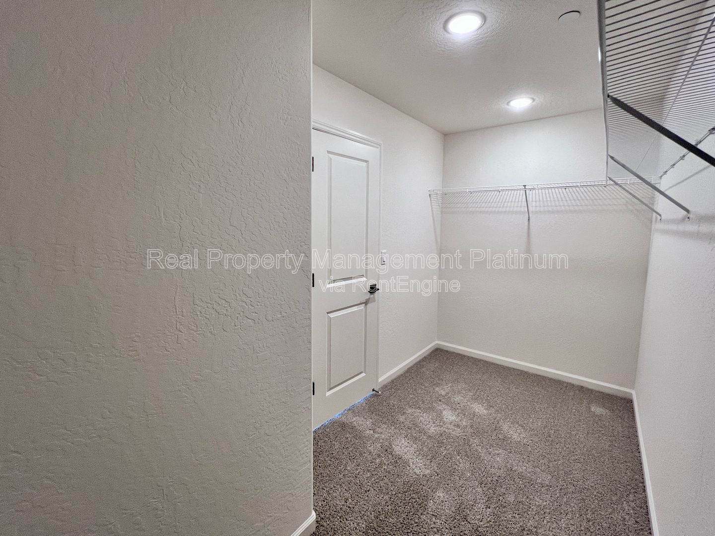 Gallery Image 19