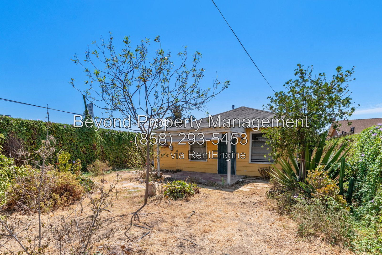 Gallery Image 14