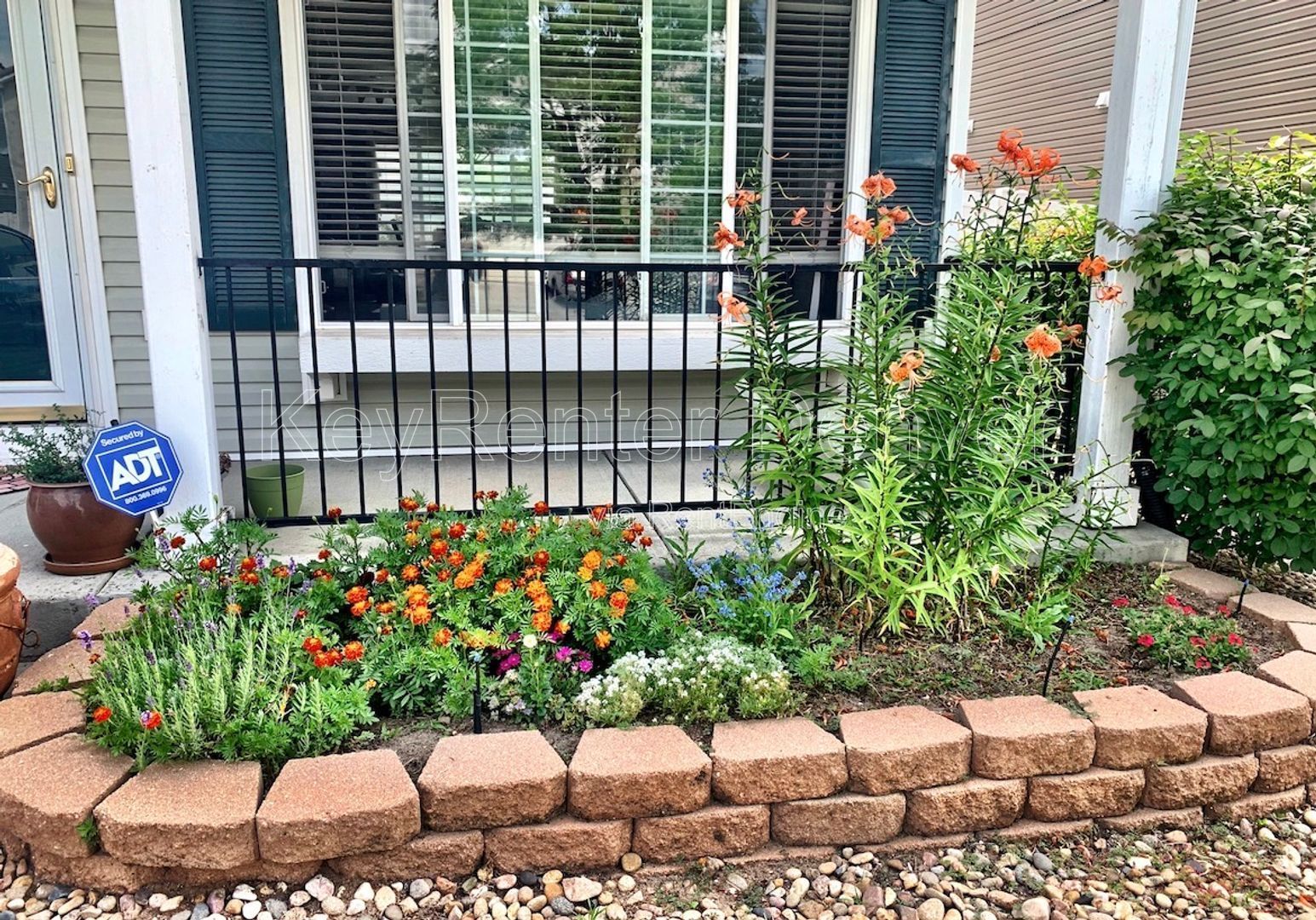 Gallery Image 12