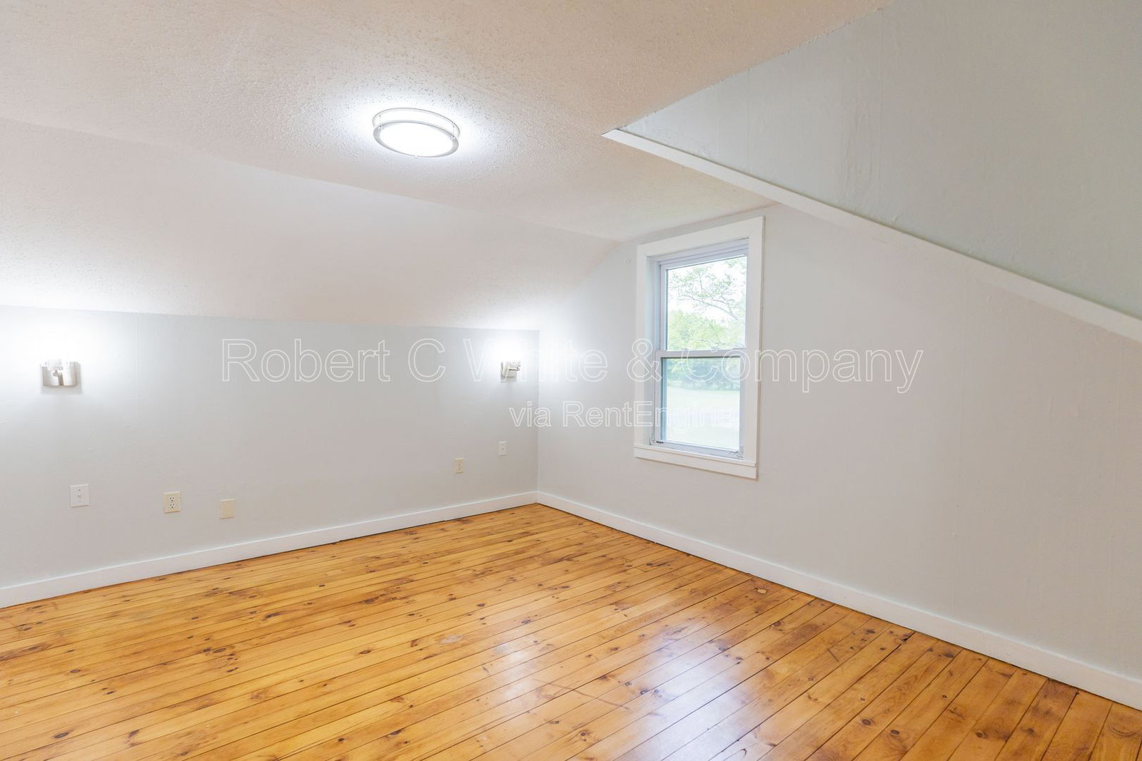 Gallery Image 19