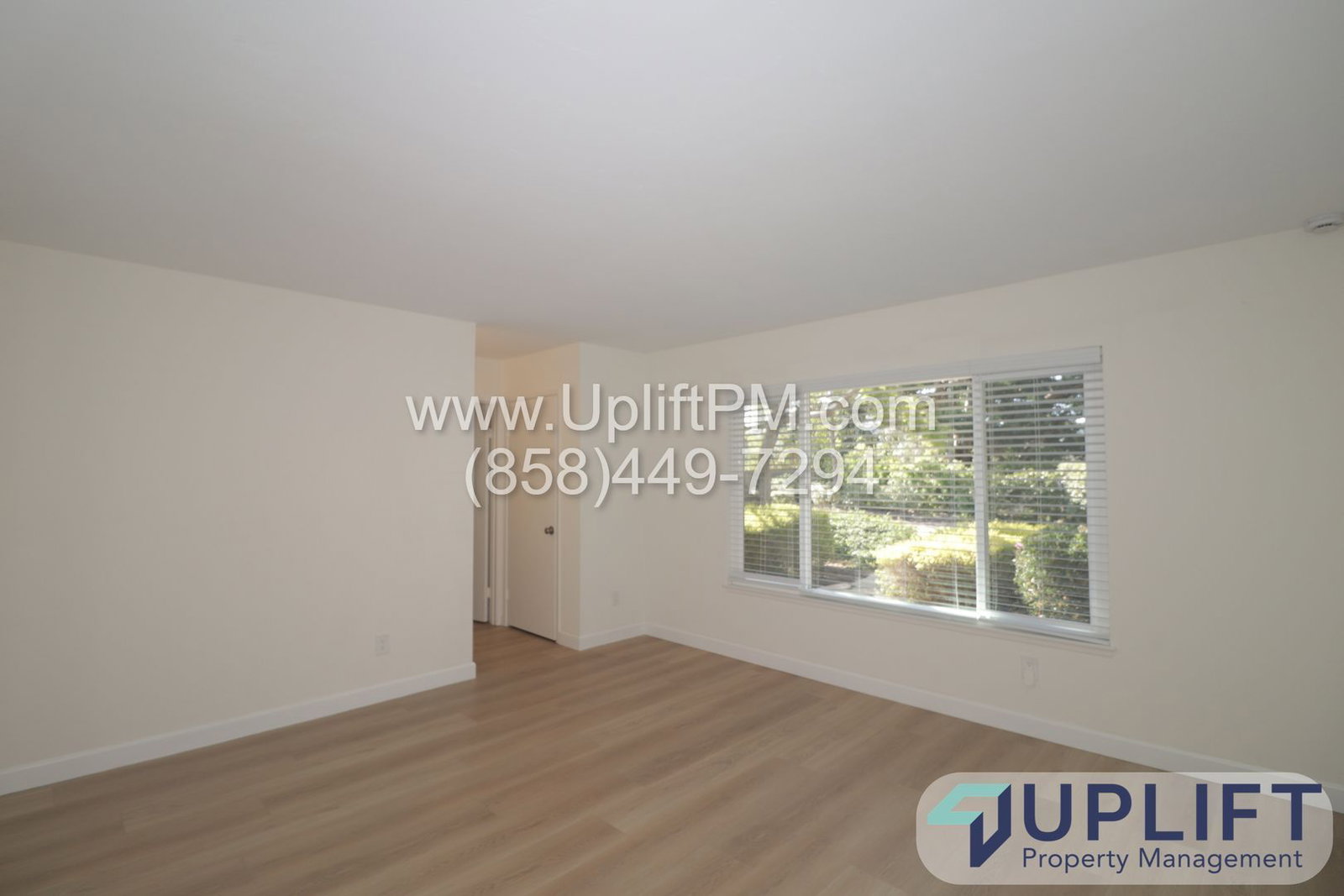 Gallery Image 15