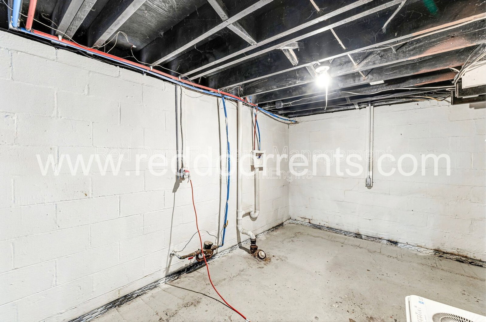 Gallery Image 16